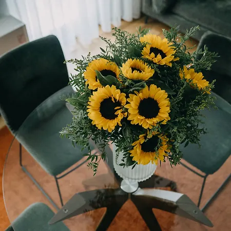 The Bold Type Hotel, A Member Of Design 5* 帕特雷